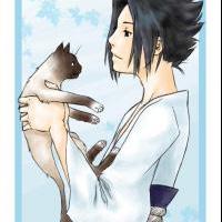 Sasuke and his nin cat